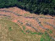 O valor inclui contribuições diretas e indiretas