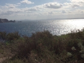 image19