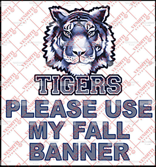 Twinsburg 2026 Senior Yearbook Photos.  YARD SIGNS AND T-SHIRTS ONLY.