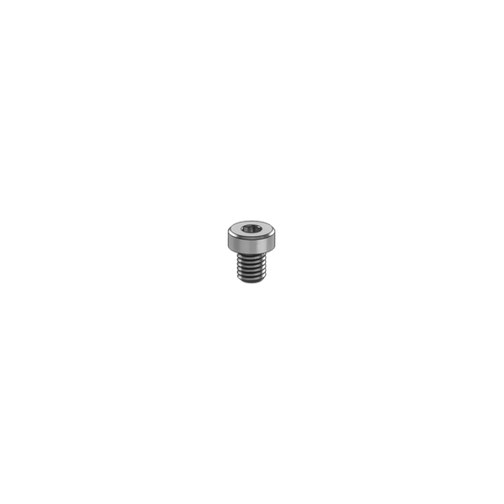 M8 x 10mm Screw
