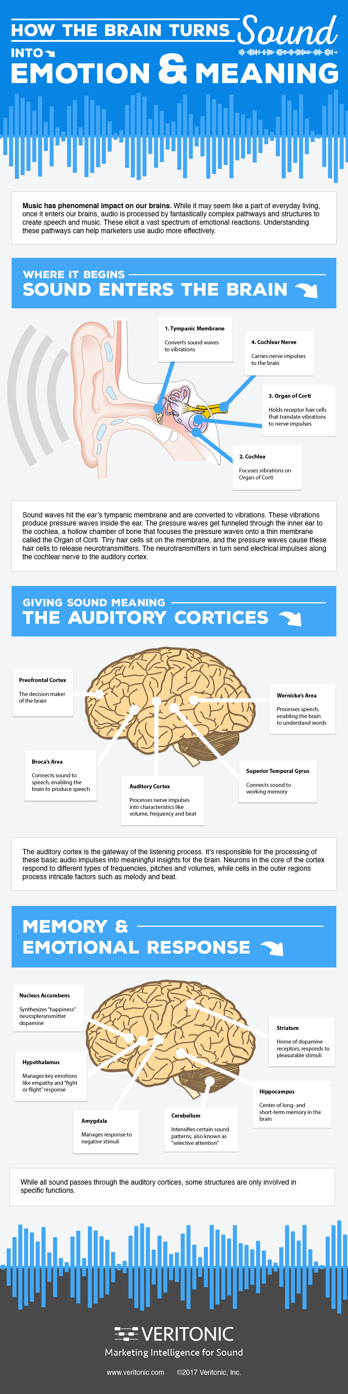 How the brain turns sound into emotion and meaning - Veritonic