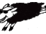 dupláa