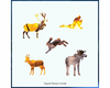 Reddeer3