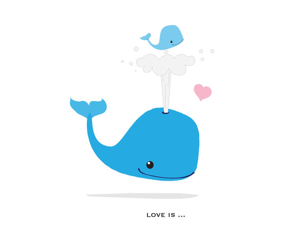 Whale Baby