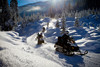 14 winter snowmobiles 4 xl