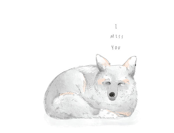 I miss you, coyote