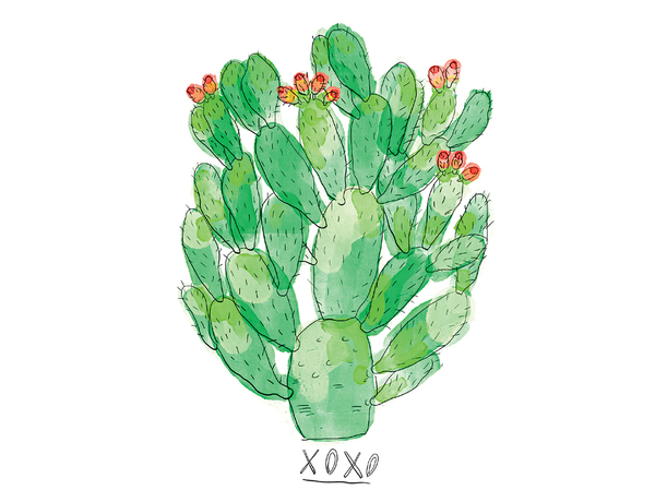 XOXO Cactus