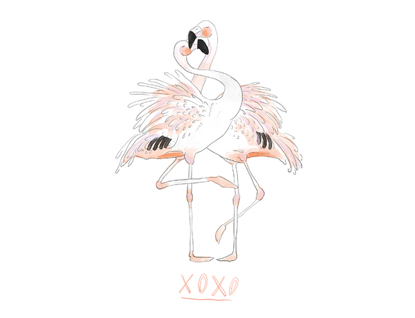 XOXO Flamingos