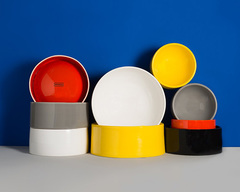 All-Purpose Dog Bowl