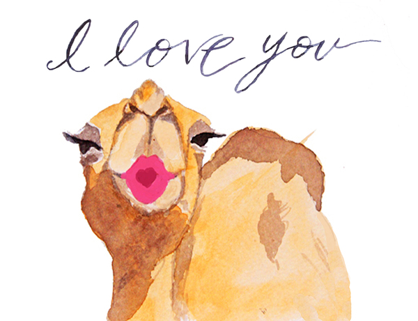 I Love You Camel