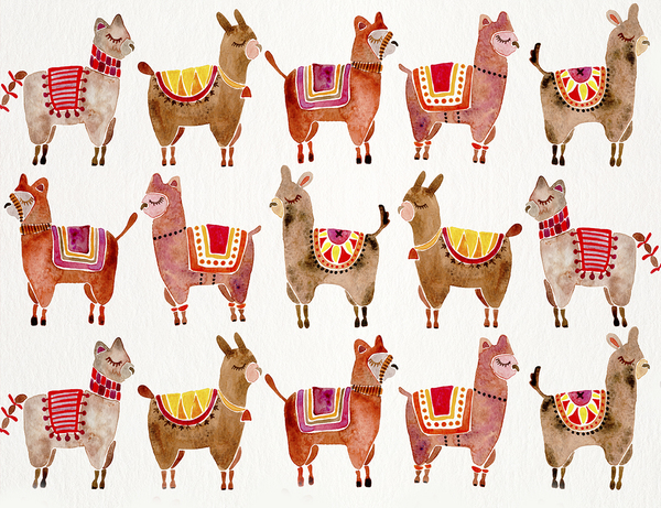 Alpacas