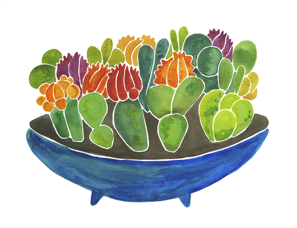 Cactai Bowl