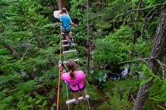 Treetop Adventure