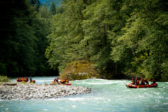 Rafting - Cheakamus River Tour