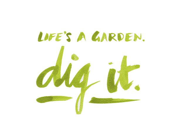 Dig It