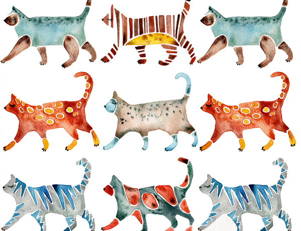 Cats