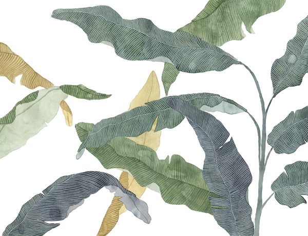 Palm Leaves