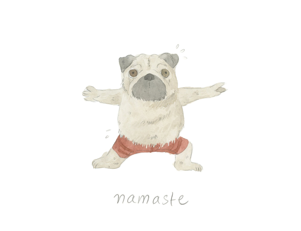 Warrior Pose Namaste Pug