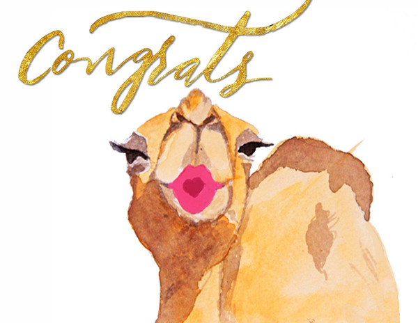 Congrats Camel