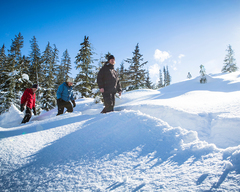 Natural Mystic Snowshoe Tour