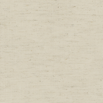 VX Screen Nature 5% Ivory Linen fabric swatch