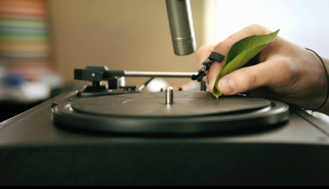 how-to-dj-with-a-leaf