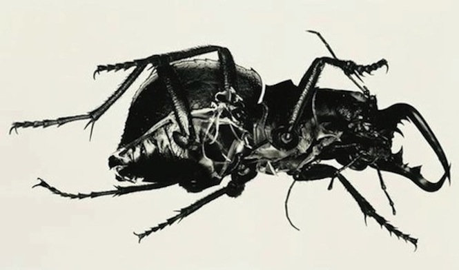 massive-attack-reissue-mezzanine-on-vinyl-for-the-first-time-in-15-years