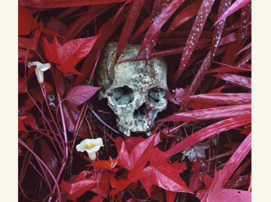 richard-mosses-the-enclave-ben-frost-soundtrack-limited-12