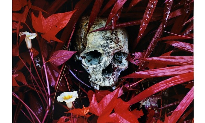 ben-frost-richard-mosse-release-the-enclave-as-limited-edition-vinyl