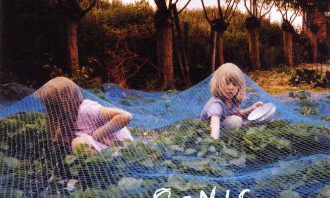 sonic-youth-murray-street-sonic-nurse-rather-ripped-vinyl-reissue