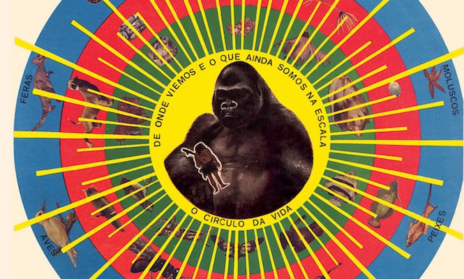 pedro-santos-brazil-krishnanda-vinyl-reissue