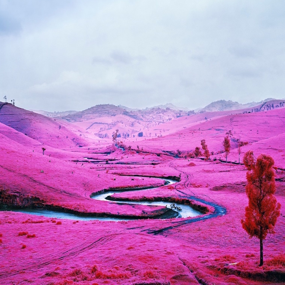 Richard Mosse Portait