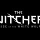 The Witcher: Rise of the White Wolf