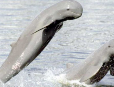 Un retiro perfecto para desconectar, aunque con poca variedad