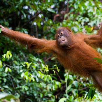  Penang – Bukit Merah – Kuala Lumpur