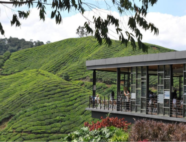 Cameron Highlands