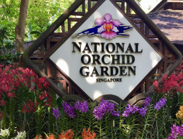  Jardín Nacional de Orquídeas