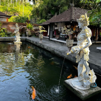  Ritual de bienvenida – Templo balinés – Arrozales de Tegallalang
