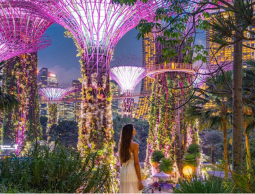 Caminata mindfulness en Gardens by the Bay