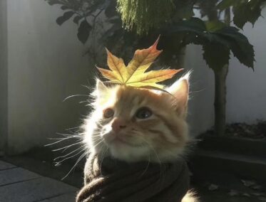 Un oasis de paz en medio de la modernidad 