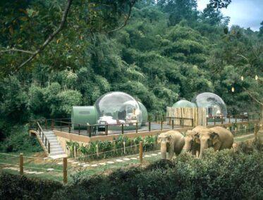 Anantara Golden Triangle