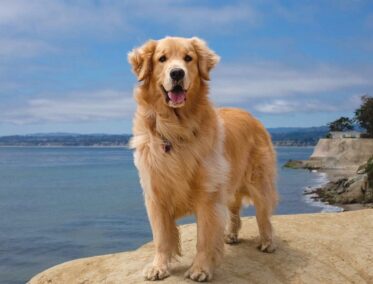 El equilibrio perfecto entre cultura y bienestar profundo