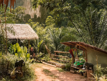 Trekking en la jungla