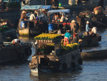 Delta del Mekong y vida local