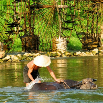 Pu Luong – Senderismo, cultura local y sabores auténticos