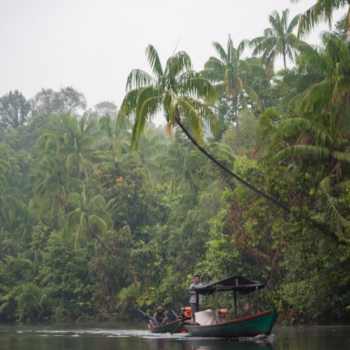 Montañas Cardamomo – Aventura en la selva y desconexión total
