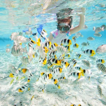 Koh Rong – Selva tropical y manglares