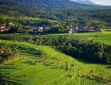 Jatiluwih y el sistema Subak