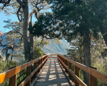 Vietnam, Laos y Camboya: Una maestría en sabores reales