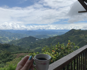  ¡Un festín de colores y sabores en la selva y la ciudad! 
